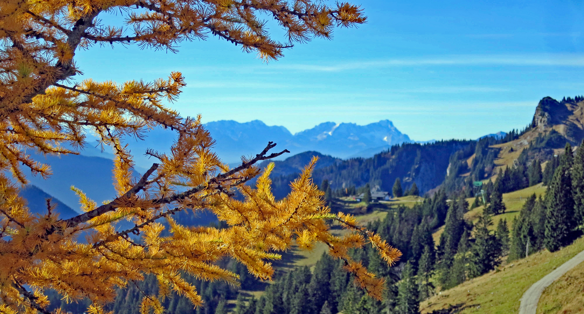 Herbst auf dem Lenggrieser Brauneck