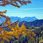 Herbst auf dem Lenggrieser Brauneck