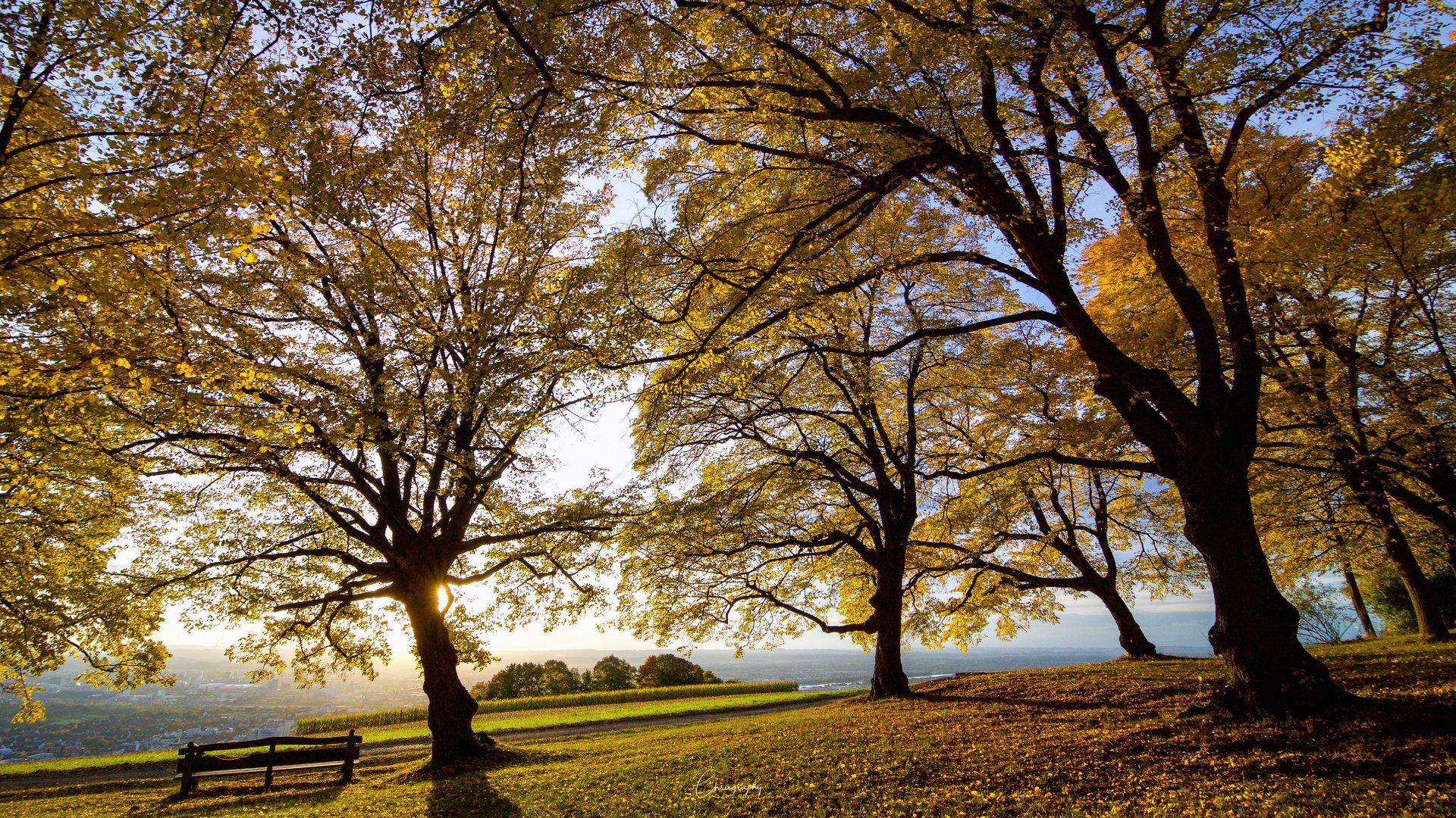 Herbst auf dem Lindenplatz