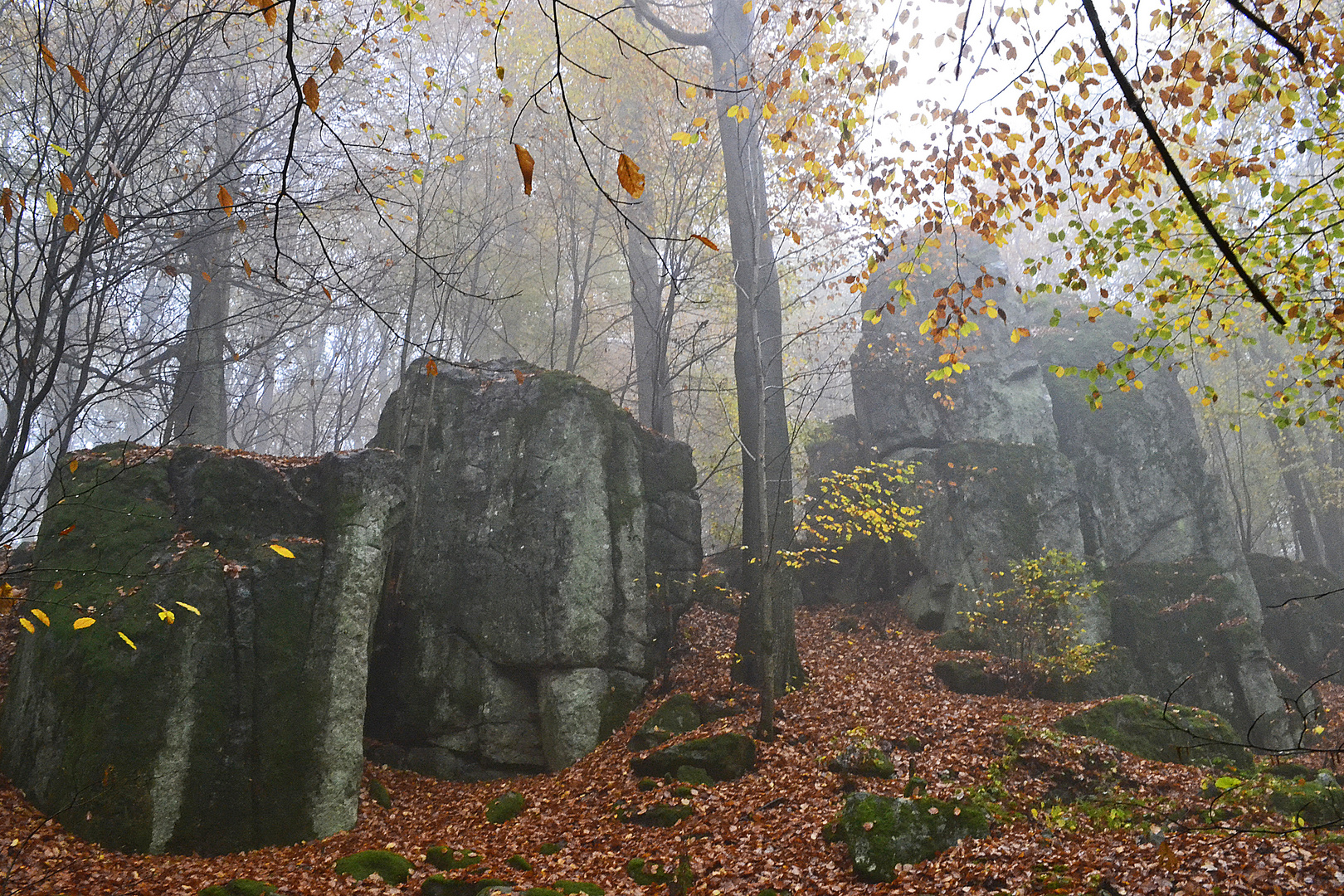 Herbst auf dem Malberg(Rheinland-Pfalz)