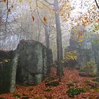 Herbst auf dem Malberg(Rheinland-Pfalz)