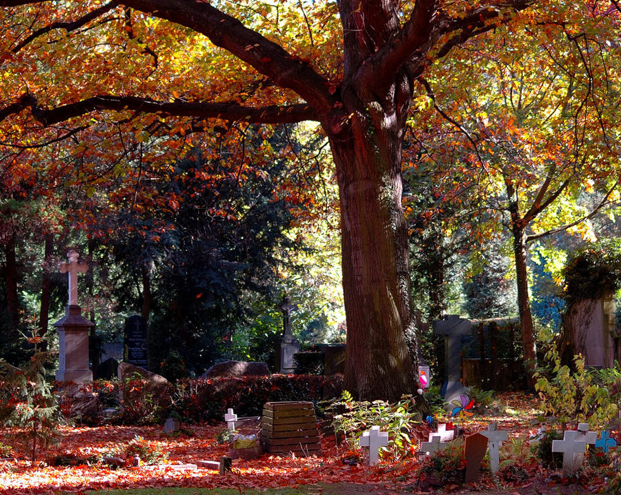 Herbst auf dem Melaten