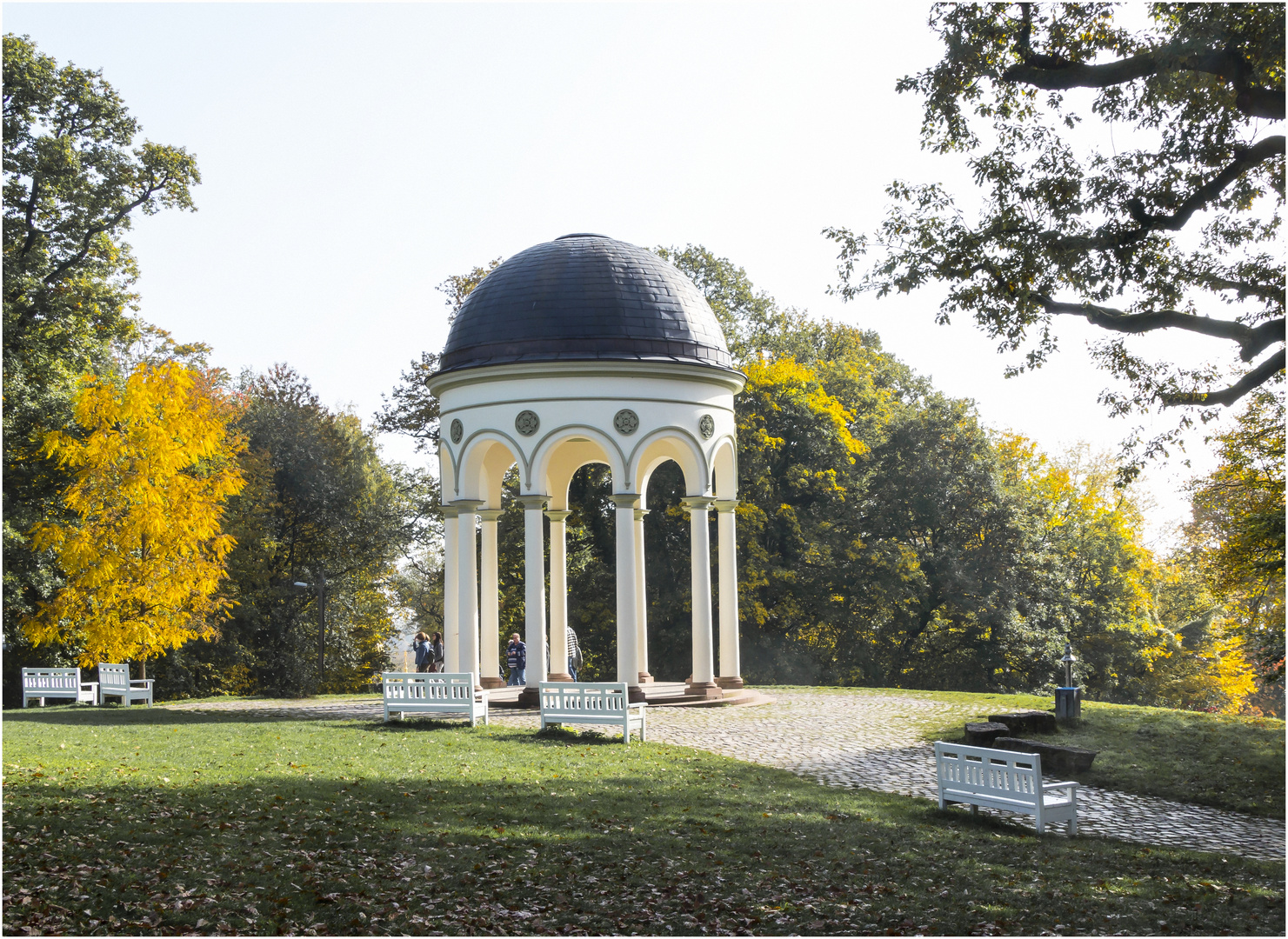 Herbst auf dem Neroberg