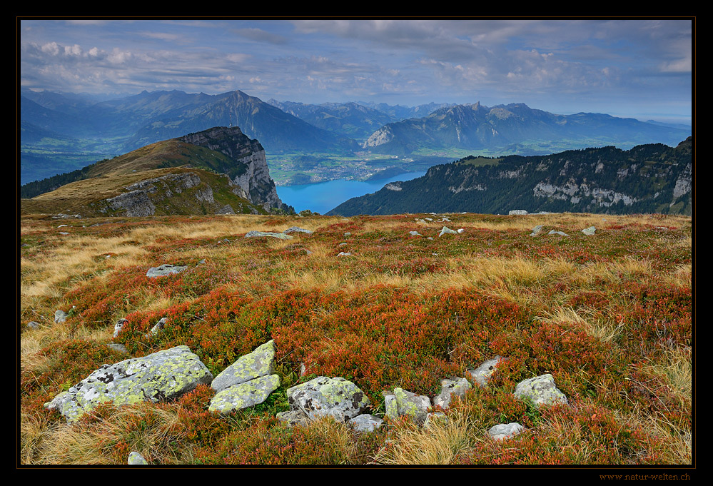 Herbst auf dem Niederhorn