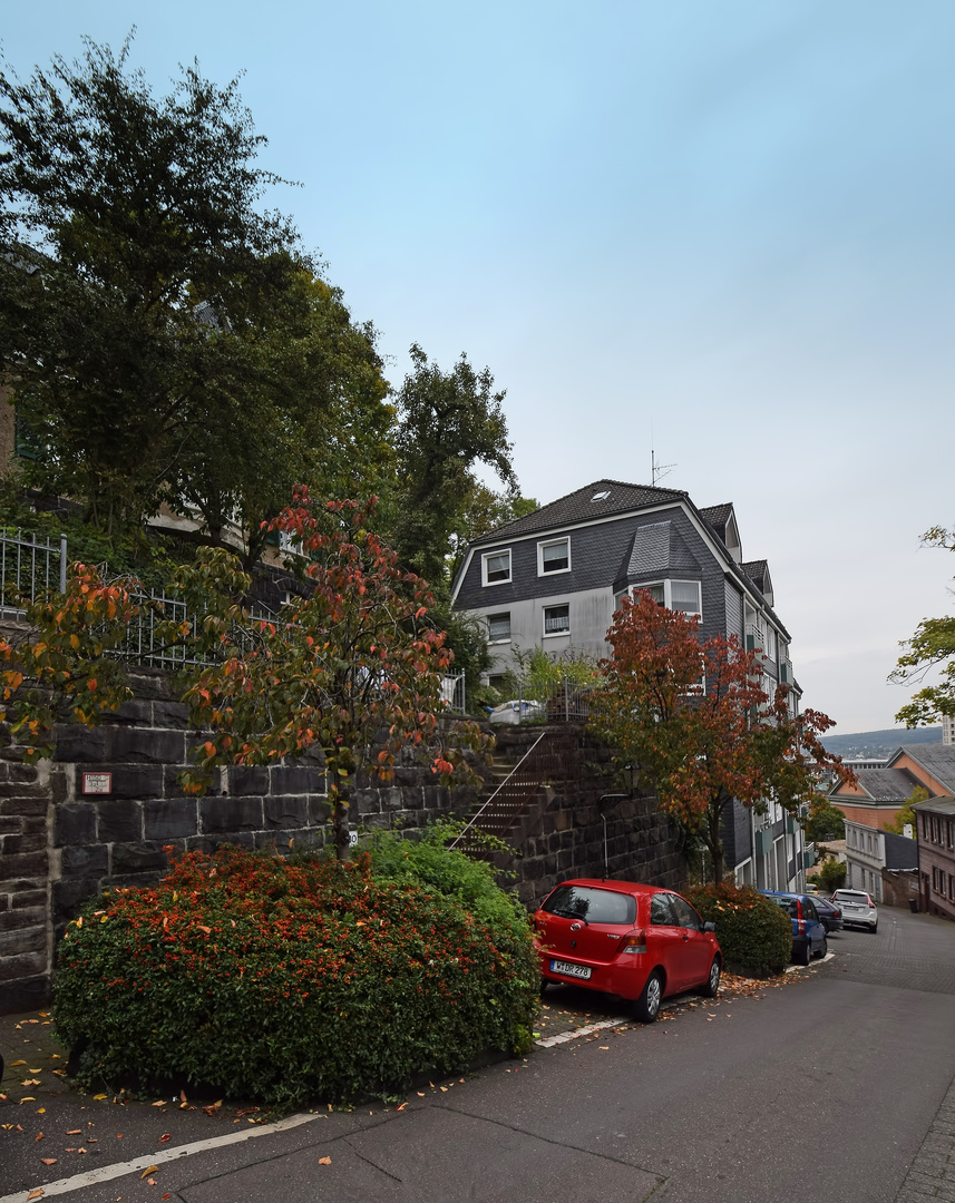 Herbst auf dem Ölberg