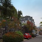 Herbst auf dem Ölberg