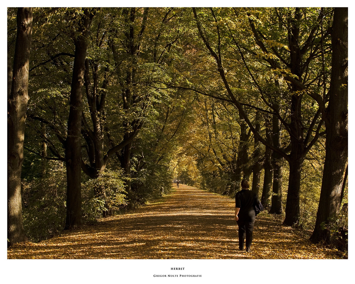 Herbst auf dem Ohedamm