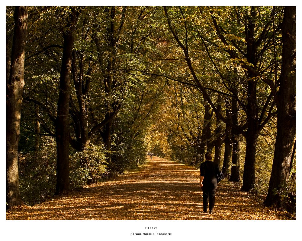 Herbst auf dem Ohedamm