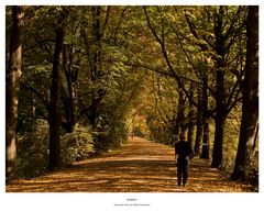 Herbst auf dem Ohedamm