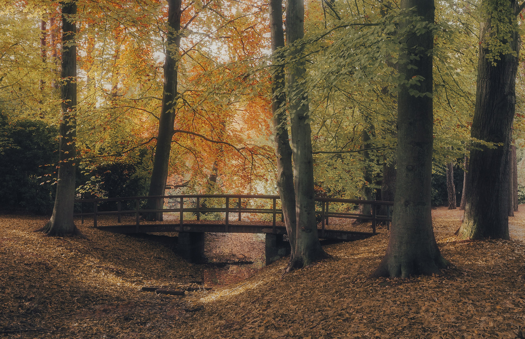 Herbst auf dem Ohlsdorfer Friedhof 