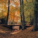 Herbst auf dem Ohlsdorfer Friedhof 