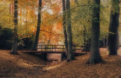 Herbst auf dem Ohlsdorfer Friedhof 