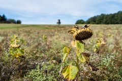 Herbst auf dem Ottweiler Flur