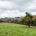 Herbst auf dem Ottweiler Flur (Saarland)