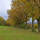 Herbst auf dem Ottweiler Flur (Saarland)