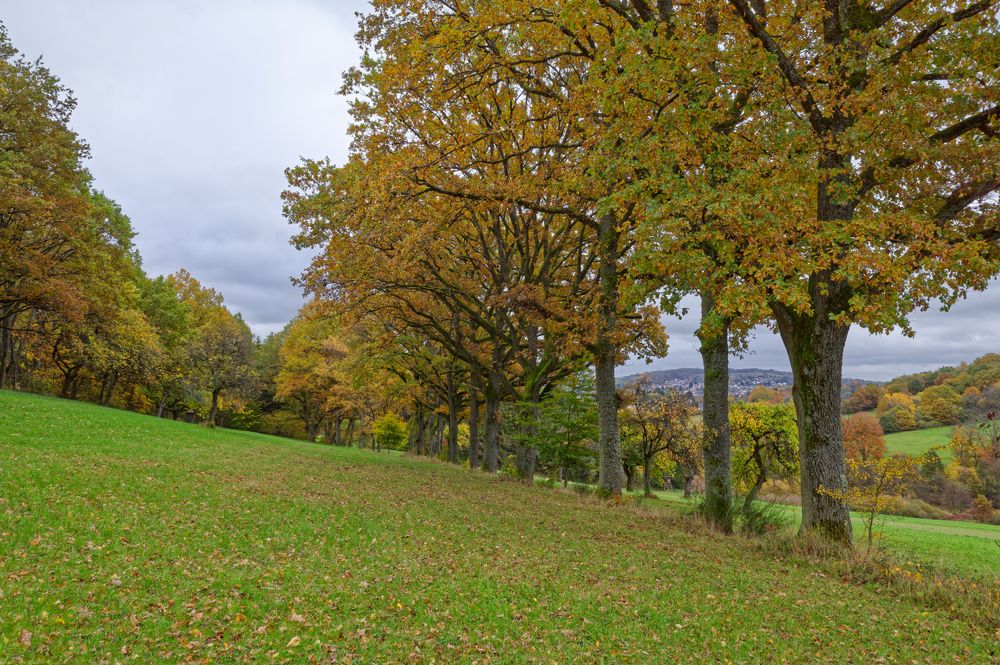 Herbst auf dem Ottweiler Flur (Saarland)