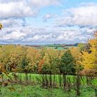 Herbst auf dem Ottweiler Flur (Saarland)