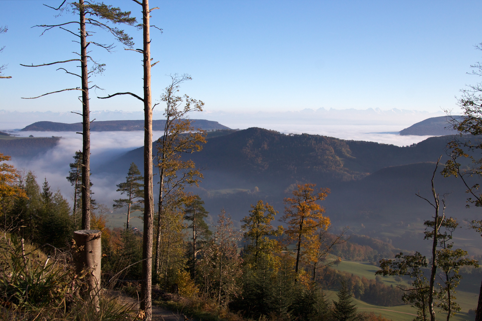 Herbst auf dem Passwang (SO)