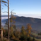 Herbst auf dem Passwang (SO)