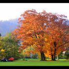 " Herbst auf dem Platz "