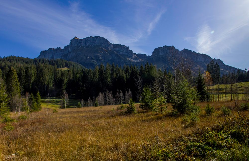 Herbst auf dem Rotmoos