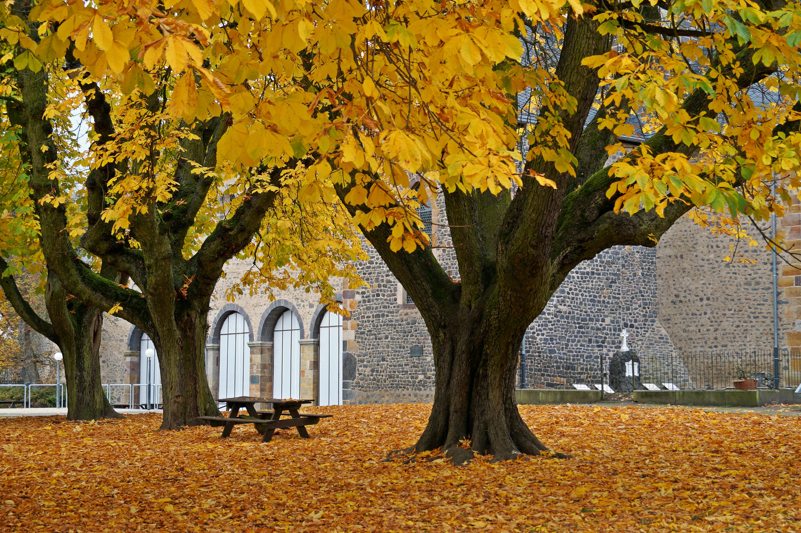 herbst auf dem schiffenberg