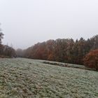 Herbst auf dem Stennweiler Flur