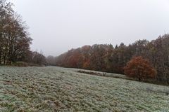 Herbst auf dem Stennweiler Flur