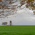 Herbst auf dem Stennweiler Flur