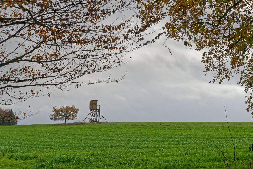 Herbst auf dem Stennweiler Flur