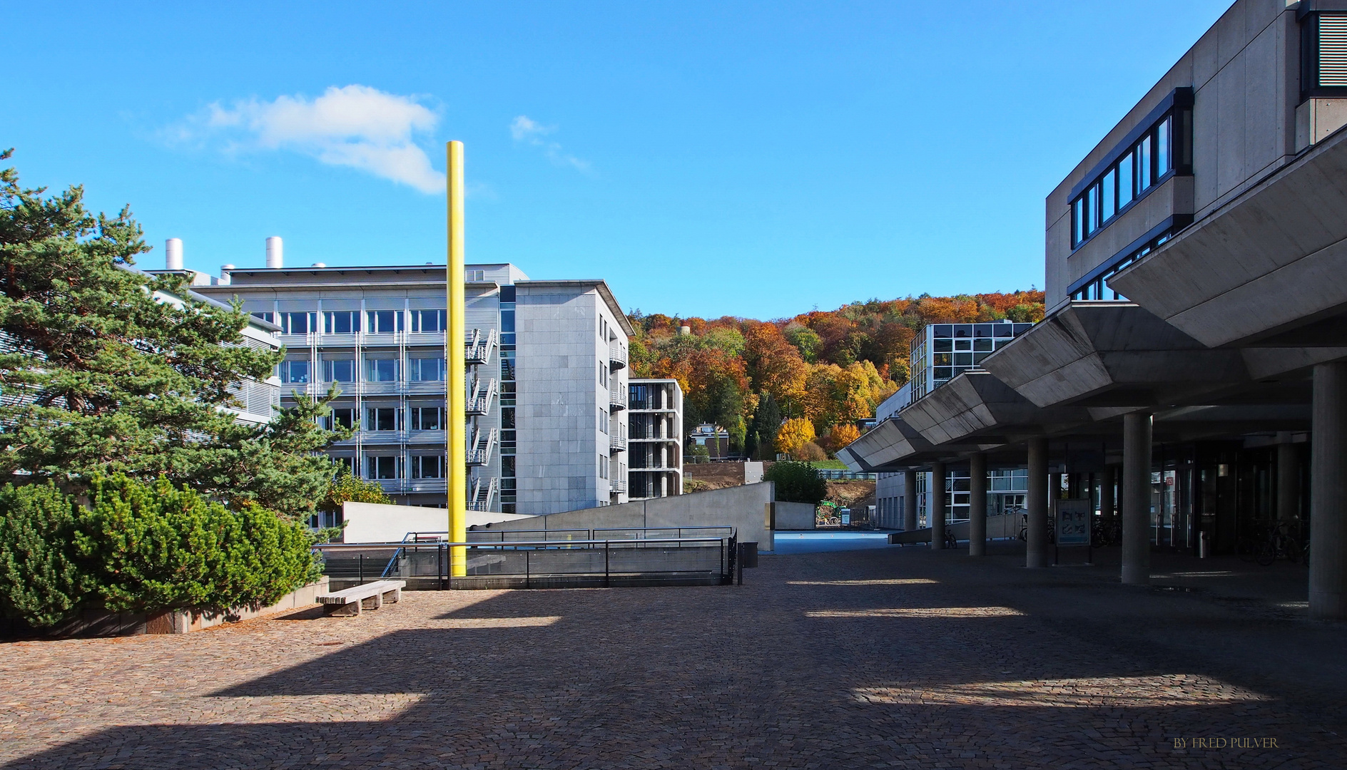 Herbst auf dem Uni-Campus Zürich-Irchel