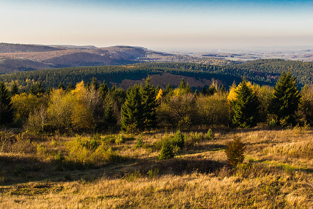 Herbst auf dem Velmerstot