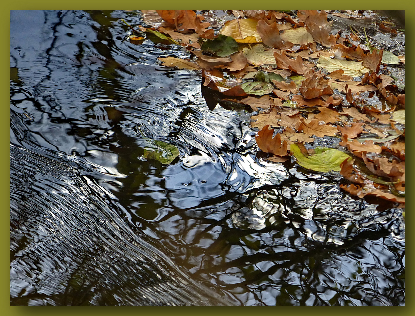 Herbst auf dem Wasser