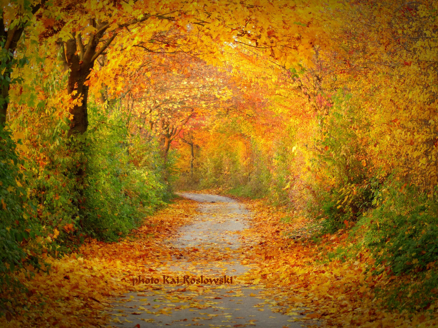 Herbst auf dem Weg der Soester Börde