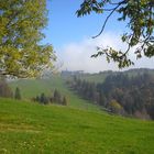 Herbst auf dem Weissenstein