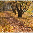 Herbst auf dem Weyerberg