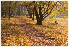 Herbst auf dem Weyerberg