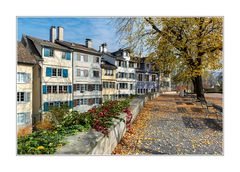 Herbst auf dem Zürcher Lindenhof