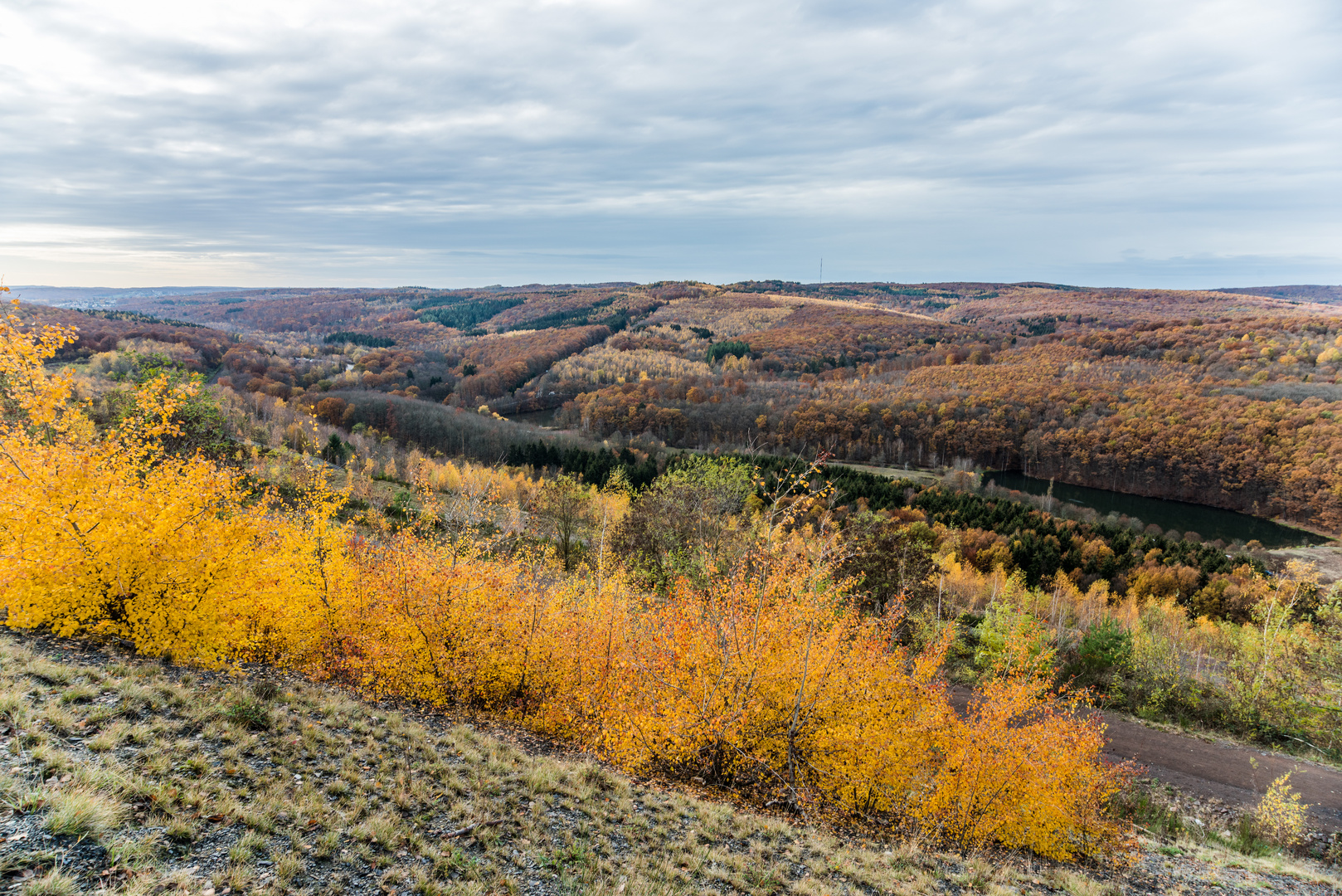 Herbst auf den Abhängen der Halde Lydia Camphausen