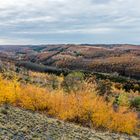 Herbst auf den Abhängen der Halde Lydia Camphausen