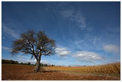 Herbst auf den Feldern