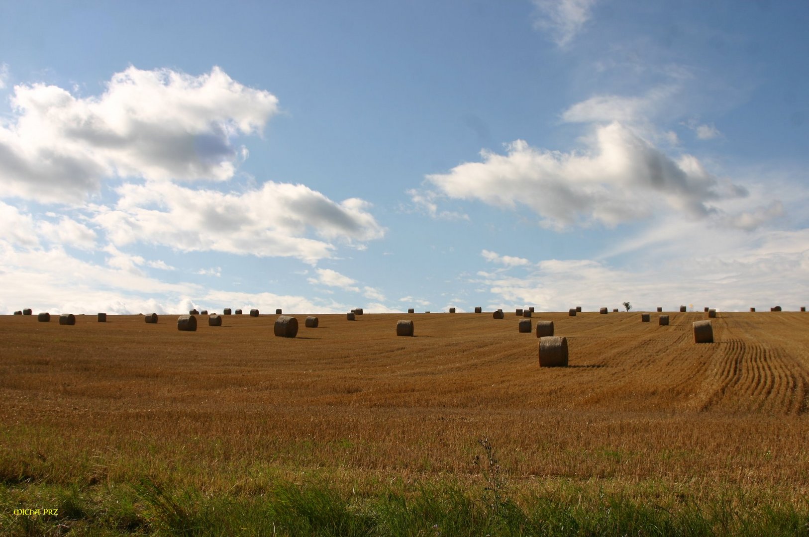 Herbst auf den Feldern überall