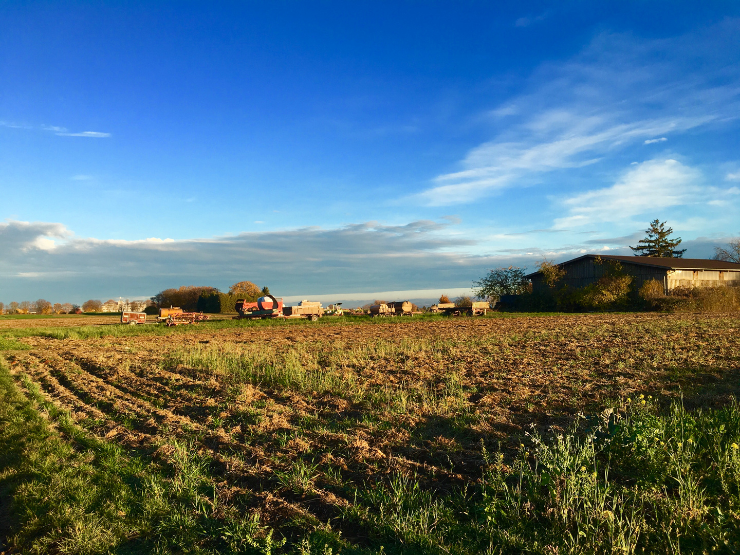 Herbst auf den Fildern