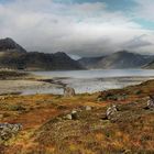 HERBST AUF DEN LOFOTEN