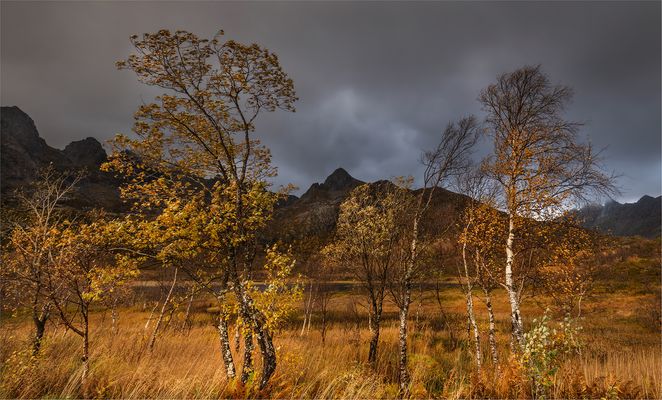 Herbst auf den Lofoten