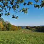 herbst auf den unger