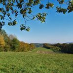 herbst auf den unger