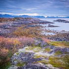 Herbst auf den Vesteralen in Norwegen