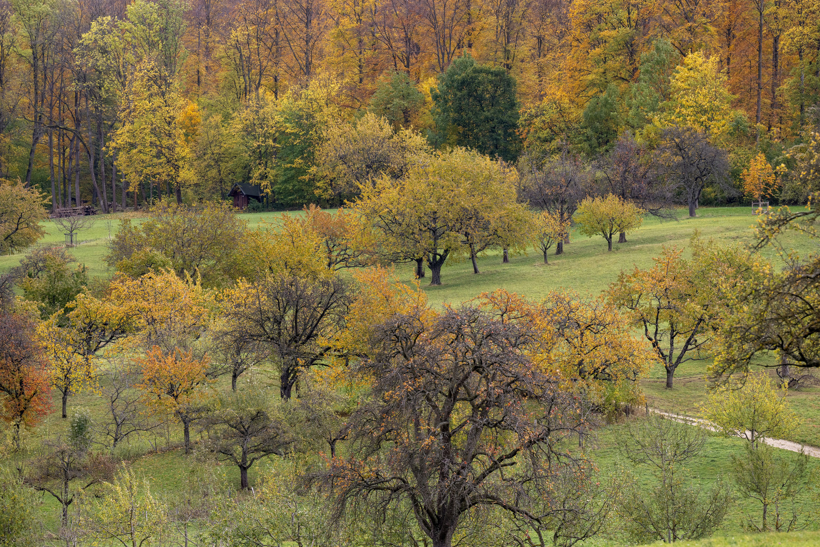 Herbst auf der Alb