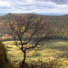 Herbst auf der Alb